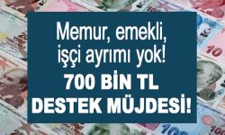 Memur, Emekli ve İşçi Ayrımı Yok: 700 TL Destek Verilecek!