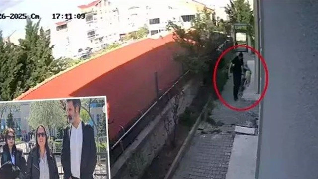 Sahiplendiği köpekleri evde parçalayıp öldüren doktor tutuklandı