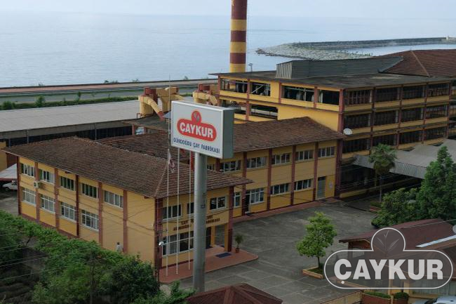 1.500 kişilik dev alım: ÇAYKUR hangi illerde alım yapacak!