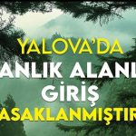 Piknik ve anız ateşi yasaklandı