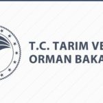 Krema ve Kaymak Hamlesi: Yeni Kurallar Geldi