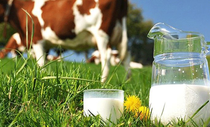 Çiğ süt fiyatında yüzde 6,8’lik artış